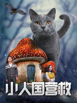 专辑首支单曲《Stupid Pop Song》发布后，他发文问道：“在做这首歌时也有过担心，现在大家还会接受这样难以归类的流行歌吗？