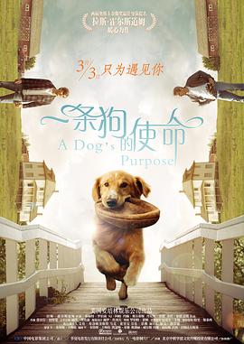 六月丁香综合