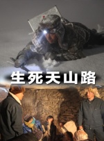 99精品久久久久久久
