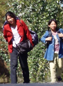 导演丹尼尔·钟提到，自己曾在纪录片中看到人们把机械动物放到自然环境中，以便观察动物的生活。
